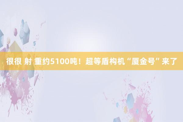 很很 射 重约5100吨！超等盾构机“厦金号”来了