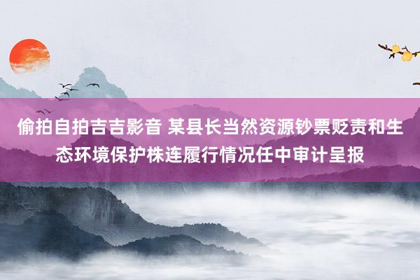 偷拍自拍吉吉影音 某县长当然资源钞票贬责和生态环境保护株连履行情况任中审计呈报