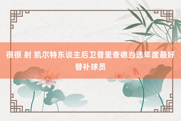 很很 射 凯尔特东谈主后卫普里查德当选年度最好替补球员