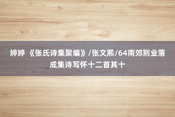婷婷 《张氏诗集聚编》/张文熙/64南郊别业落成集诗写怀十二首其十