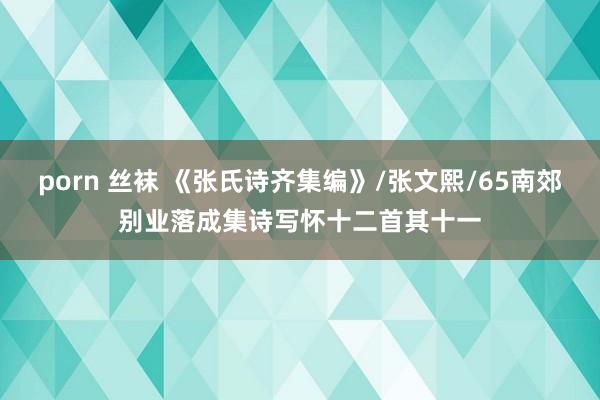 porn 丝袜 《张氏诗齐集编》/张文熙/65南郊别业落成集诗写怀十二首其十一